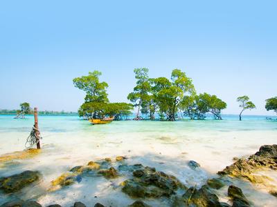 Havelock Island