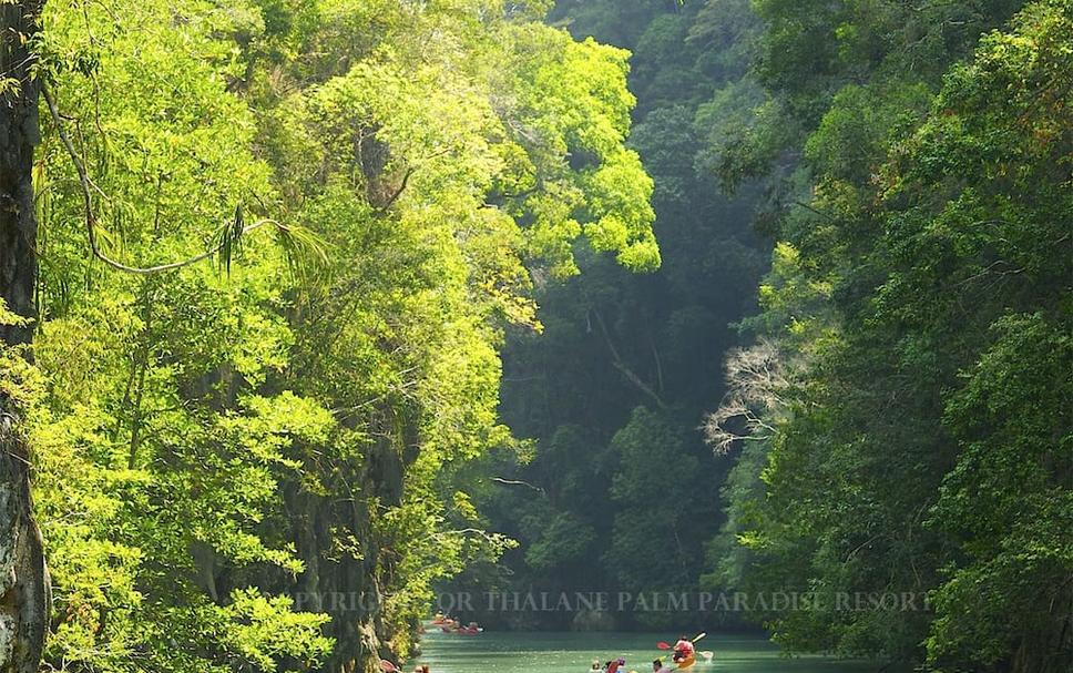 Cảnh ngoài trời Ảnh