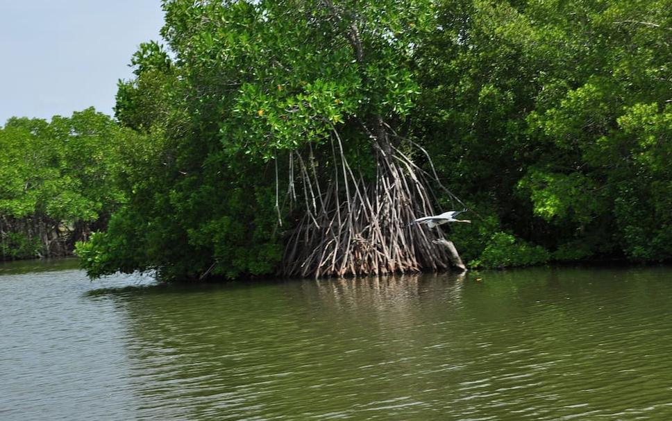 Cảnh ngoài trời Ảnh