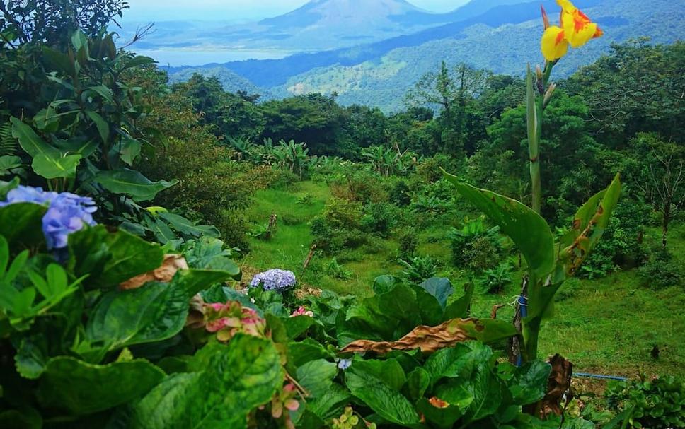 Cảnh ngoài trời Ảnh