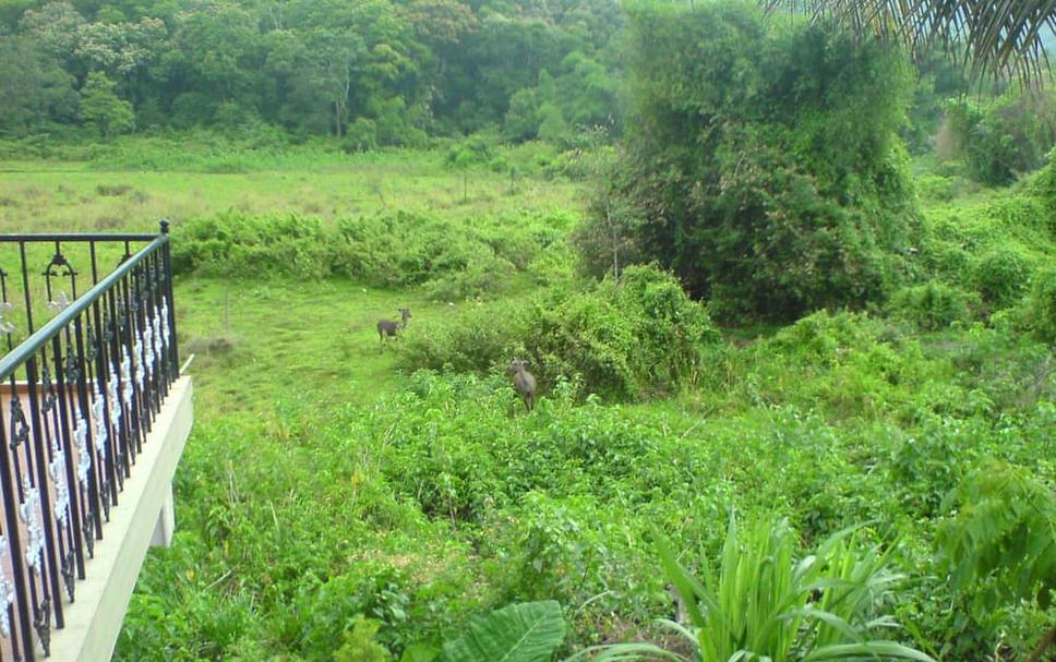 Cảnh ngoài trời Ảnh